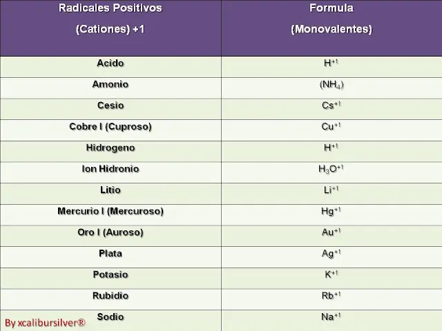 [Química I]Radicales Cationes-Aniones