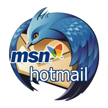 msn