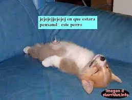 chau