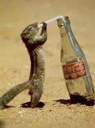 espero que les guste este tiene + fotos (=