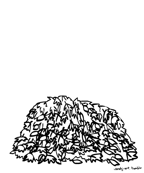 Gifs