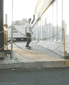 Gifs