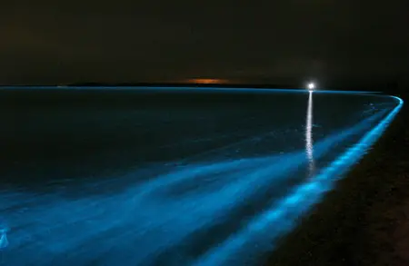 La bioluminiscencia en los lagos de Gippsland