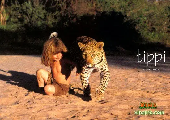 Animales