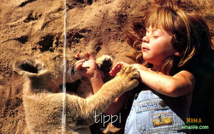 tippi degre, la hija de la selva