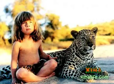 Animales