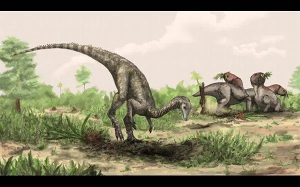 Descubrieron en un museo los restos fósiles del dinosaurio