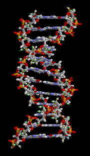 genetica