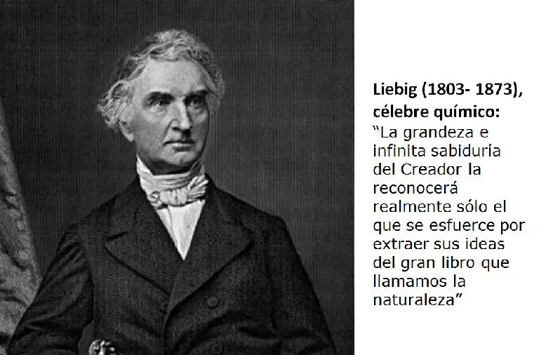 imagenes