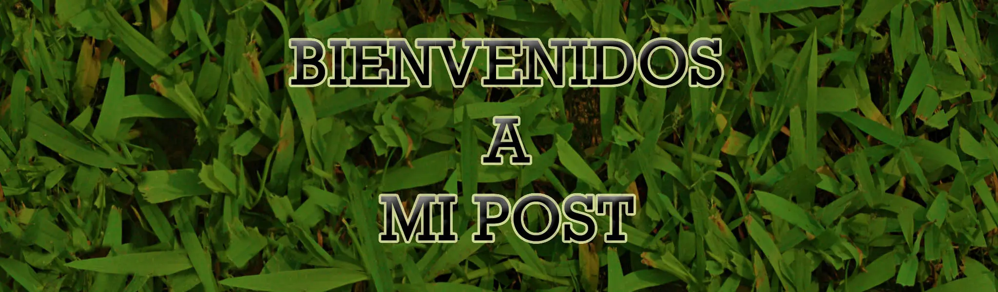 ¿Que son esas cosas Volando en mis ojos?