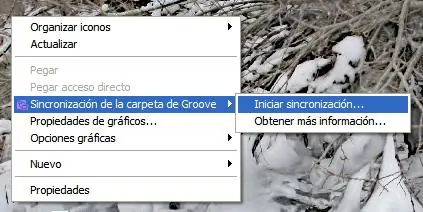Quitar "Sincronización de carpetas" Office 2010/7