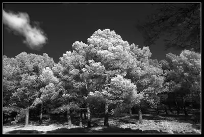 Como hacer tu propia cámara infrarroja