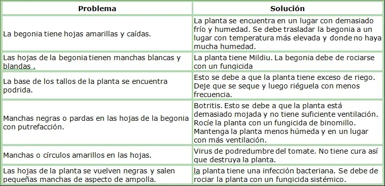 solucion