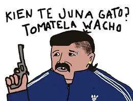 te conoce