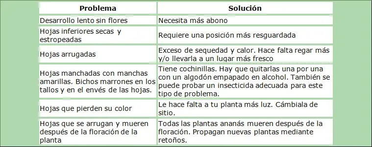 solucion