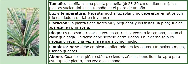 consejos