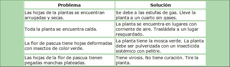 solucion
