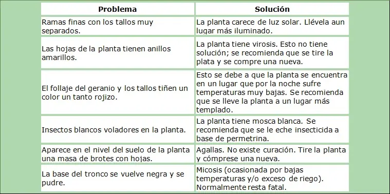 naturaleza