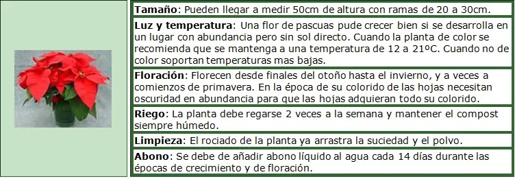 consejos