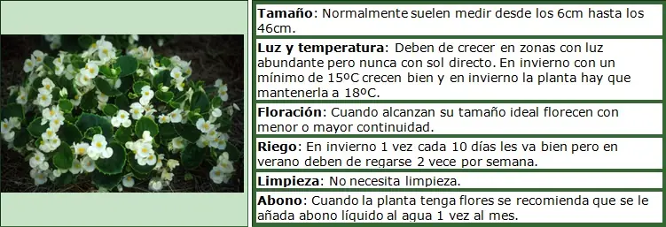 consejos