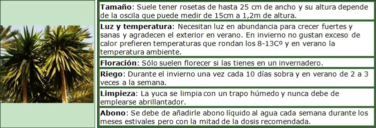 problema
