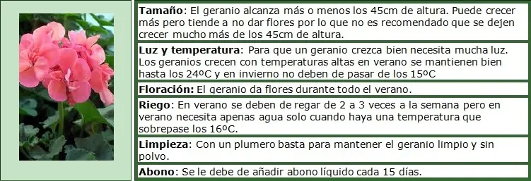 problema
