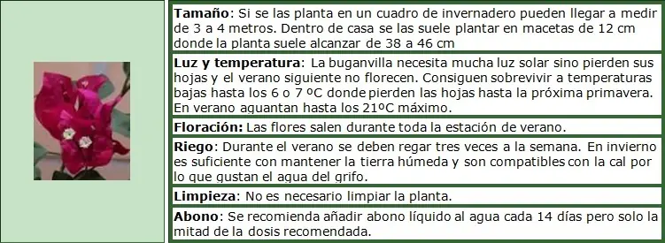 problema