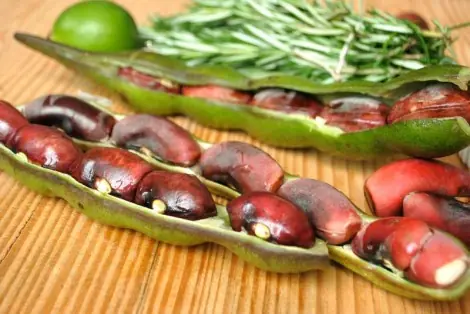 Deliciosos y nutritivos con auyama o calabaza.