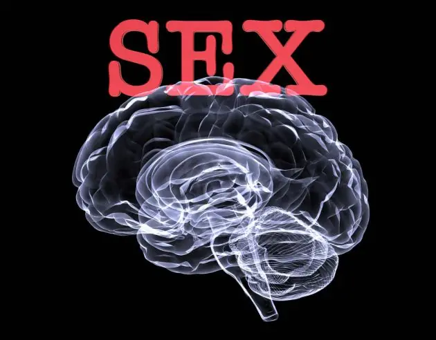 segundos