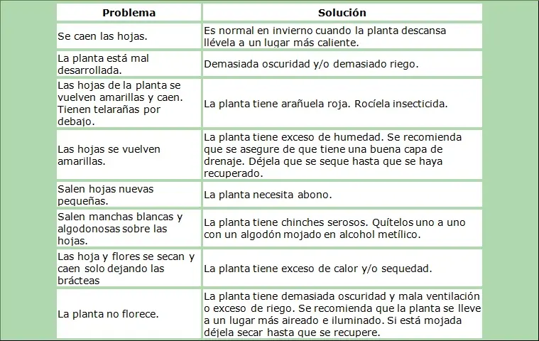 naturaleza