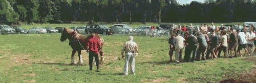 Gifs graciosos + mi agregado Vers. 47