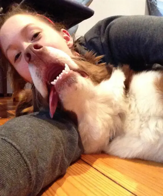 Las FotoBombas Del 2013 (Animales)