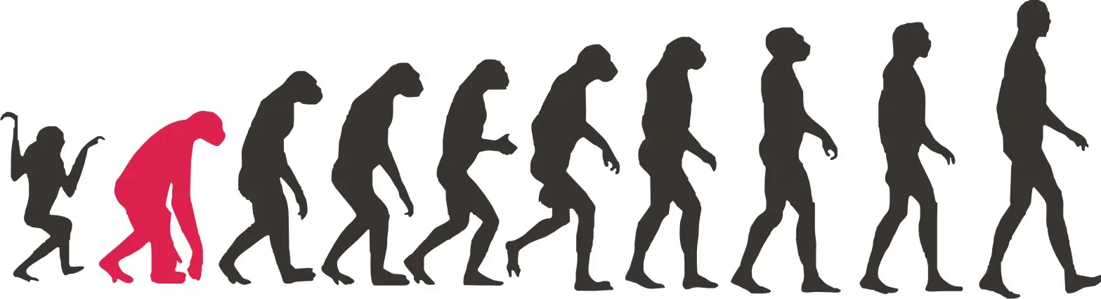 evolucion