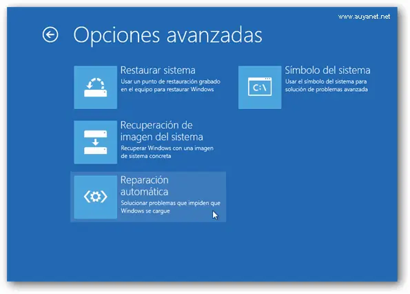 Windows