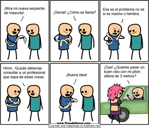 humor