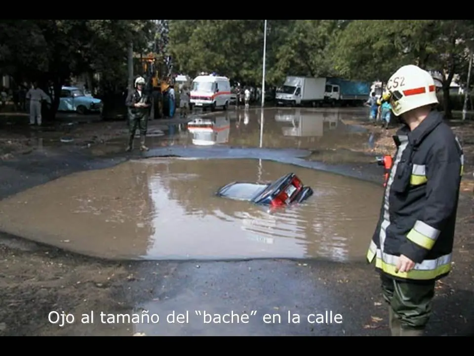 bache