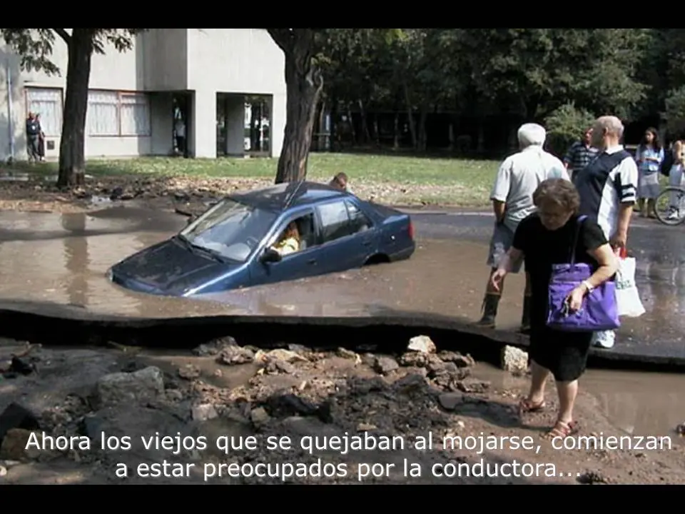 bache