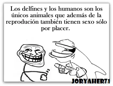 post. curiosidades