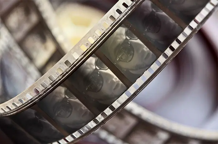 el bosque de los sometidos