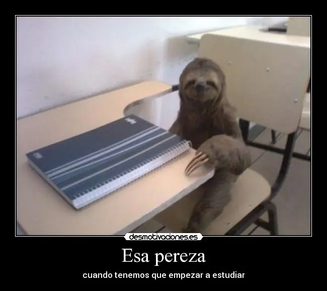 a toda hora
