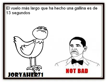 post. curiosidades