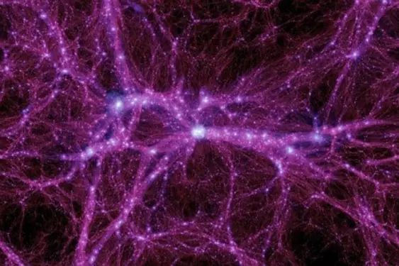 cosmos