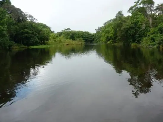 Quieres ver que en el planeta hay cosas buenas? Entra