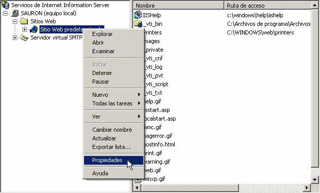 IIS