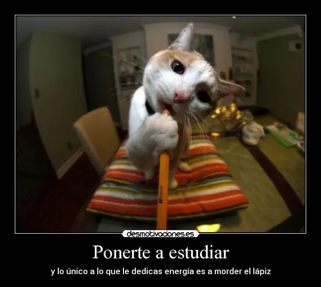 a todo el mundo