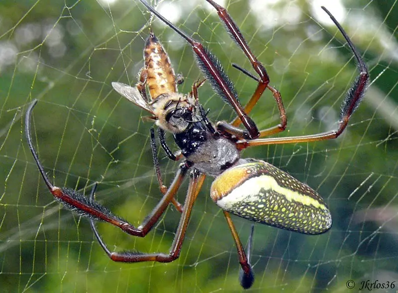 top 10