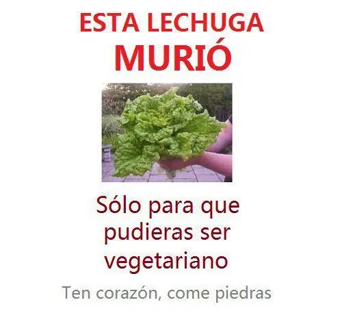 manipulacin