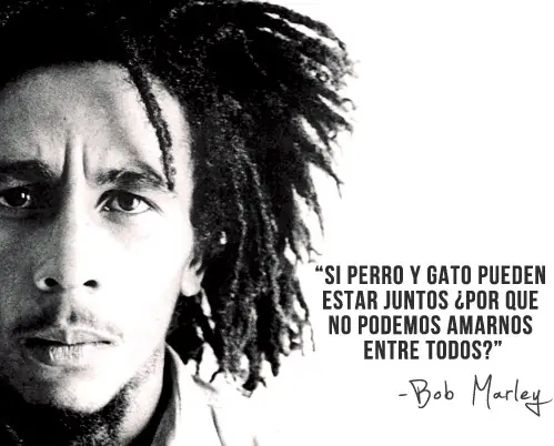 Racismo