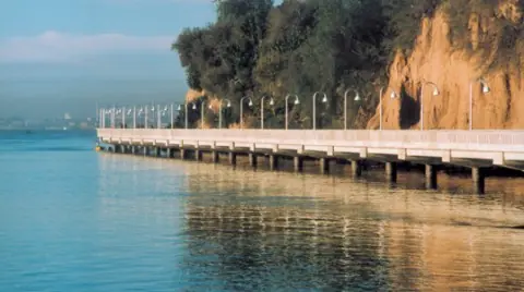 2011