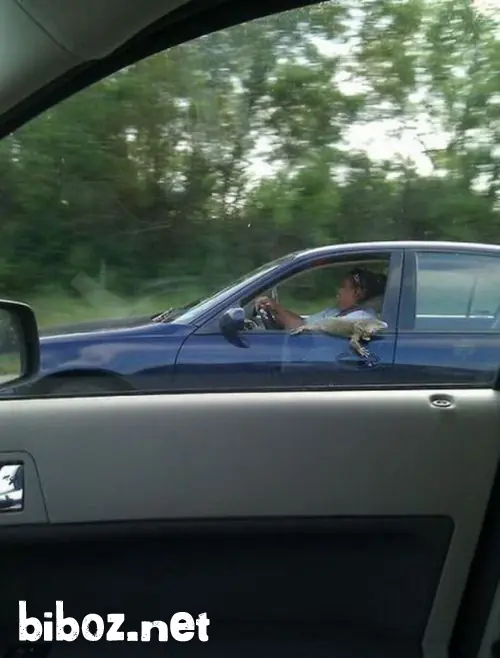 ¿Te querías reir? [1 Parte]